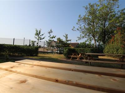 Picture 8